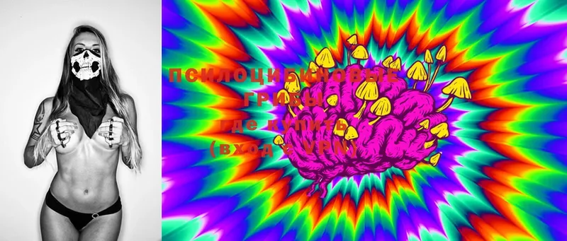 Галлюциногенные грибы Psilocybine cubensis  Партизанск 